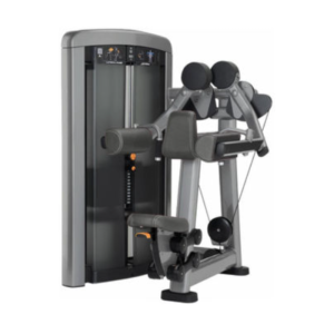 LATERAL RAISE SERIE INSIGNIA LIFE FITNESS