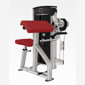 BÍCEPS/TRÍCEPS – SERIE AXIOM