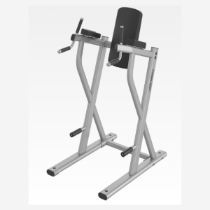 DIP LEG RAISE – AXIOM SERIES