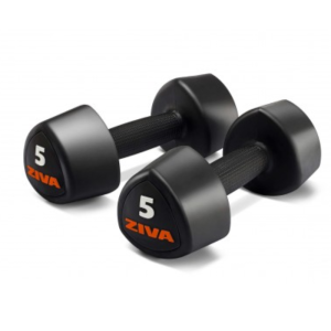 MANCUERNA AEROBIC ZIVA (PAR)