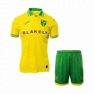 Camiseta Norwich City Conjunto Niños Primera 2025 2026