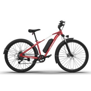 Bicicleta Eléctrica MTB 29″ E Motorad T- Rex Air 470wh Roja