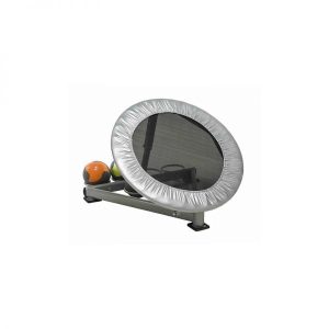 Reboteador Balón Medicinal