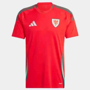 Tailandia Camiseta Primera Gales 2024