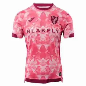 Tailandia Camiseta Segunda Norwich City 2025 2026