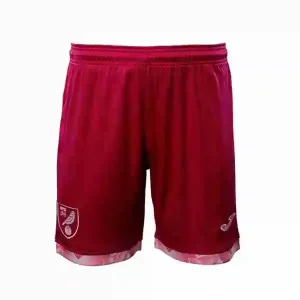 Tailandia Pantalones Segunda Norwich City 2025 2026