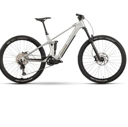 Bicicleta Elecctrica Raymon Airok 29 Carbon