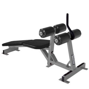 Decline / Abdominal Bench de Hammer Strength